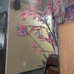 Cute little tree I sat next to