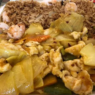 Curry chicken and onion with shrimp fried rice