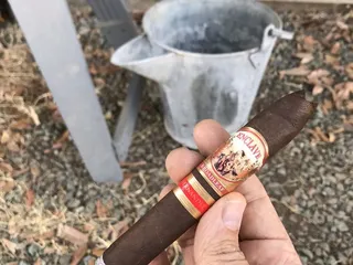 Wild Bills Smoke Shop