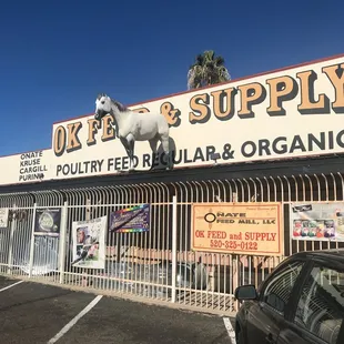 Something for almost all