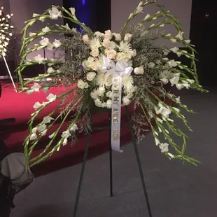 The poor wings broken. So sad hundreds of dollars to have it come like this