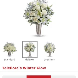 This is what I ordered.