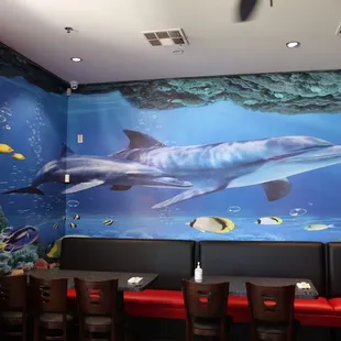 a dolphin and fish mural