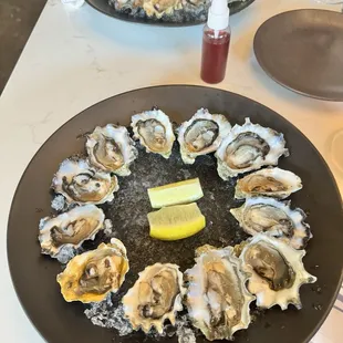 Oysters