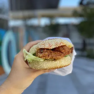 sichuan hot chicken (was not spicy)