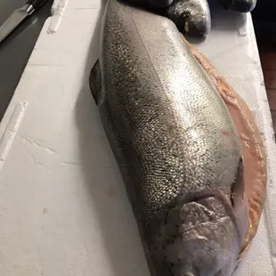 Rainbow trout with truffle oil at Okane Umi