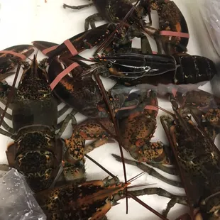 Valentine's Day special