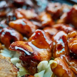 Teri chicken (close-up)