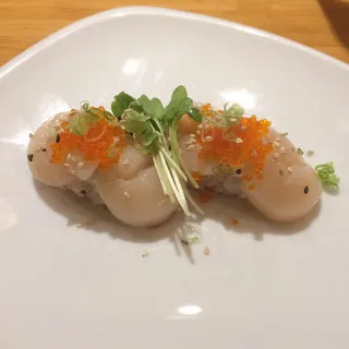 Scallop