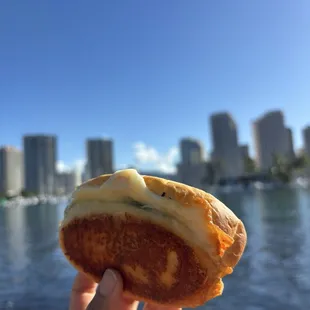 Japanini