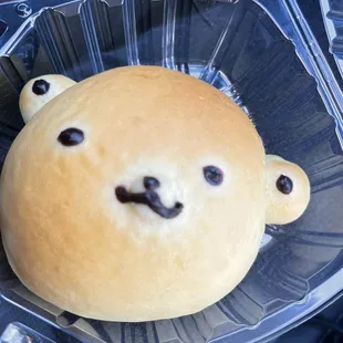 Custard Bear