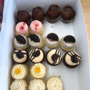 Omg! Strawberries &amp; Cream, Grapefruit Lemon, Cookies &amp; Cream, and More!