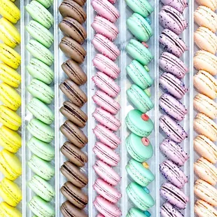 a variety of colorful macarons