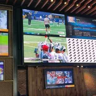 Wall of sports