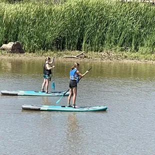 Paddle Board Rentals