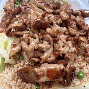 Chicken Teriyaki with vegetables and fried rice.
