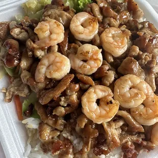 Chicken and Shrimp Teriyaki