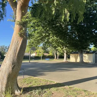 Basket ball court