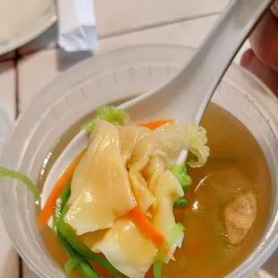 Dumpling Soup