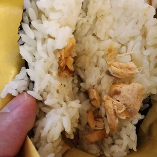 All the salmon I got