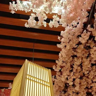 The decor above me beautiful