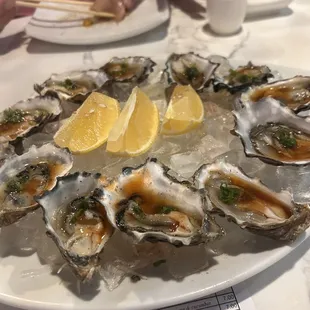 Fresh oysters