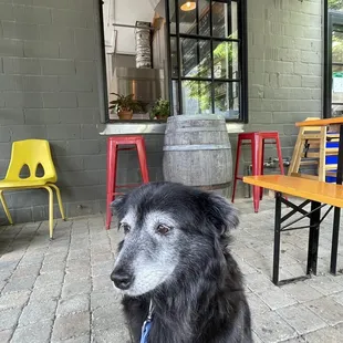 Fantastic outdoor seating area!