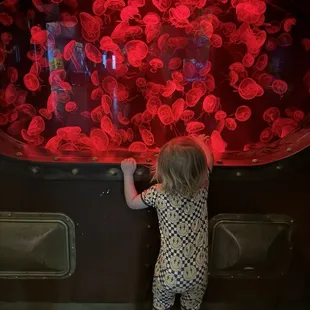 my kiddo and the jellys