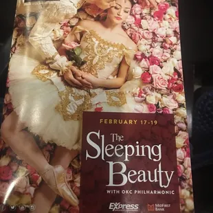 The Sleeping Beauty