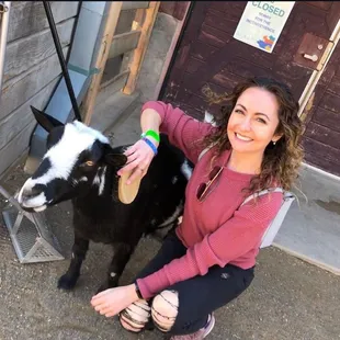Petting Zoo fun!