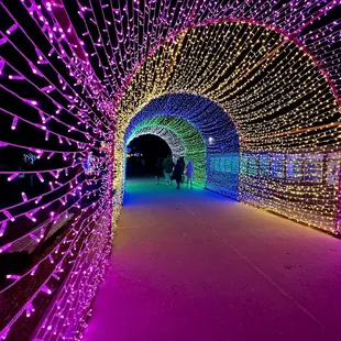 OKC ZOO SAFARI LIGHTS December 2022