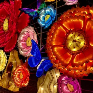 OKC ZOO SAFARI LIGHTS December 2022