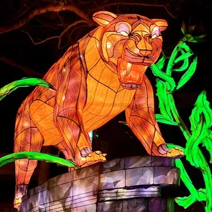 OKC ZOO SAFARI LIGHTS December 2022