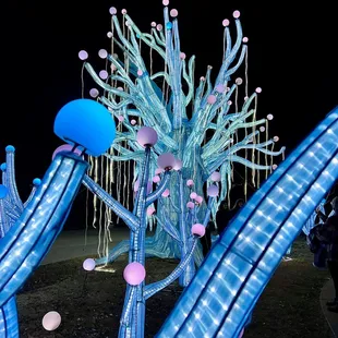 OKC ZOO SAFARI LIGHTS December 2022