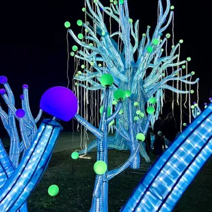 OKC ZOO SAFARI LIGHTS December 2022