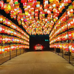 OKC ZOO SAFARI LIGHTS December 2022