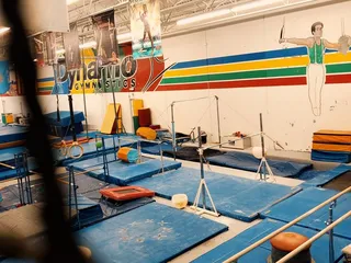 Dynamo Gymnastics