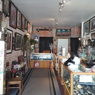 Native American Artwork and Jewelry With Our Greeter Luna