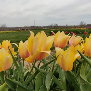 Not a sunny day but still very warm