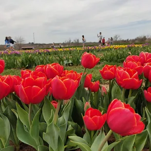 My favourite colour!