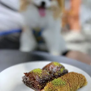 Chocolate Baklava w/ pistachios ($4 each) &amp; Diyarbakir Burma w/ pistachios ($5)