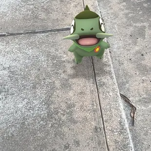 Even my Pokémon enjoyed it  here