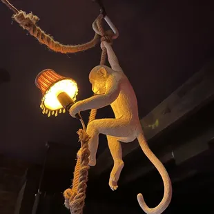 The coolest light fixture!