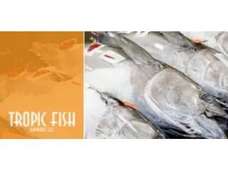 Tropic Fish Hawaii