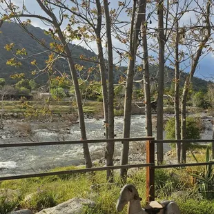 View from outdoor eating area