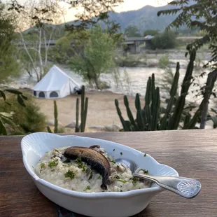 Mushroom risotto