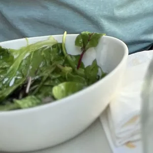 Salad (purchased separately from entree) consisted of lettuce only with no toppings.