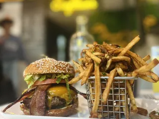 Sunflower - Gramercy