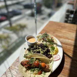 Salmon, carne, and grilled fish tacos