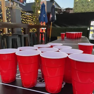 Beer Pong in Beer Garden